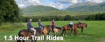 Midnight Sun Safaris – Alaska's Foremost Horseback Outfitters